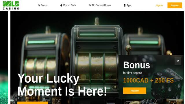 Wild Casino casino screenshot